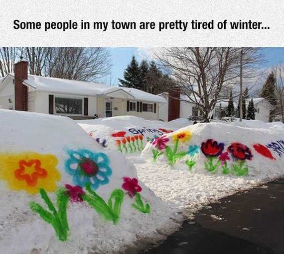 funny-pictures-1207