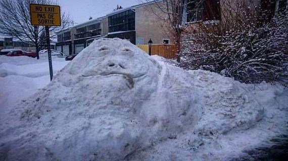 funny-pictures-1208