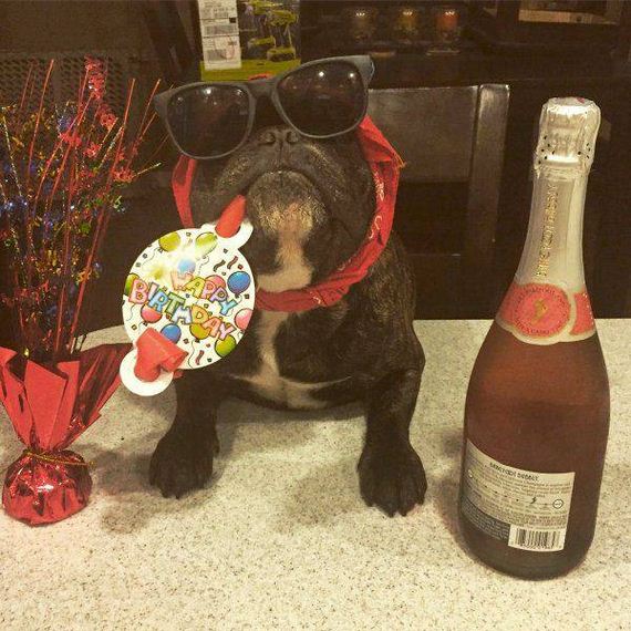 funny-pictures-1208