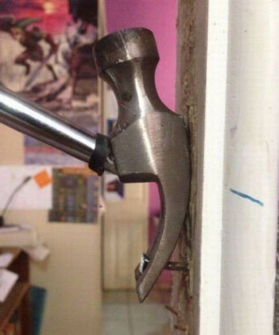 funny-pictures-1208