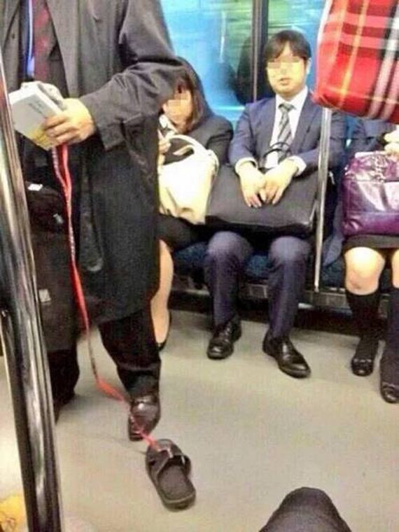 funny-pictures-1208