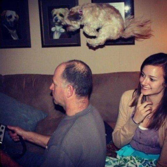 funny-pictures-1208