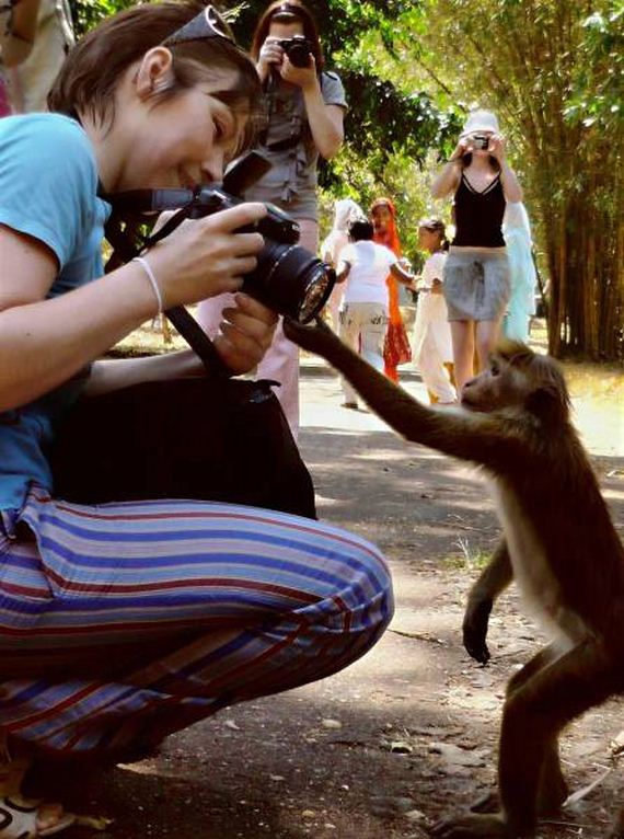 funny-pictures-1209