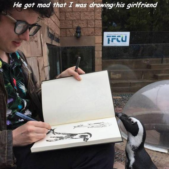 funny-pictures-1209