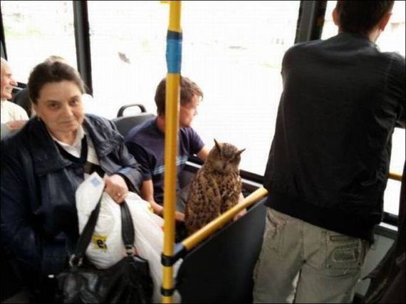funny-pictures-1211