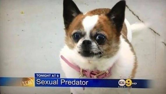 funny-pictures-1211