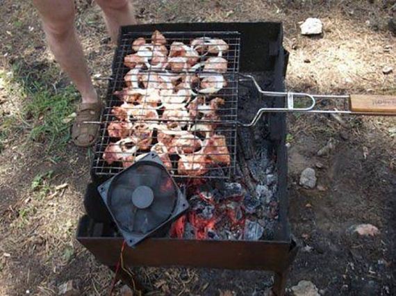 funny-pictures-1211