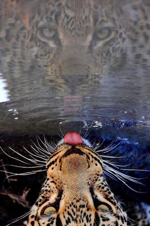 funny-pictures-1211