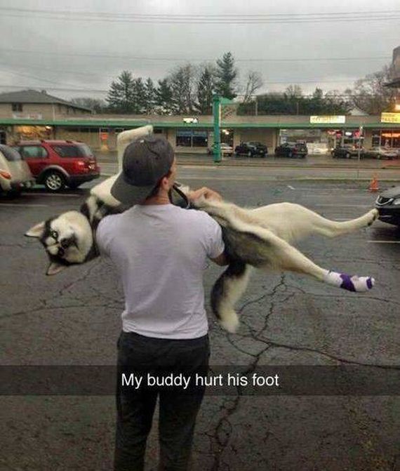 funny-pictures-1211