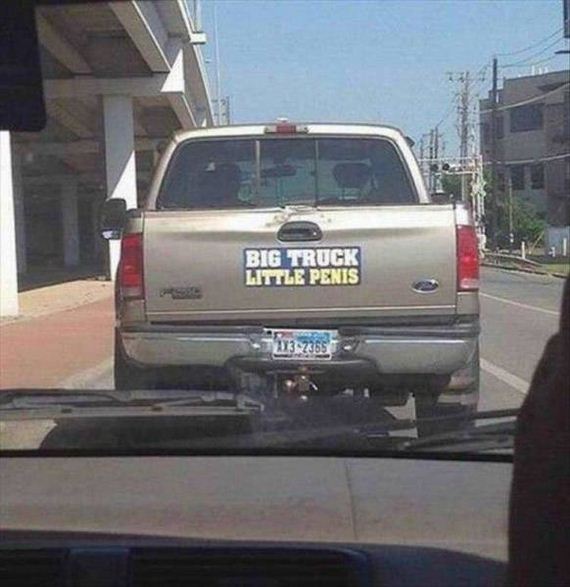 funny-pictures-1212