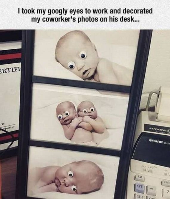 funny-pictures-1212