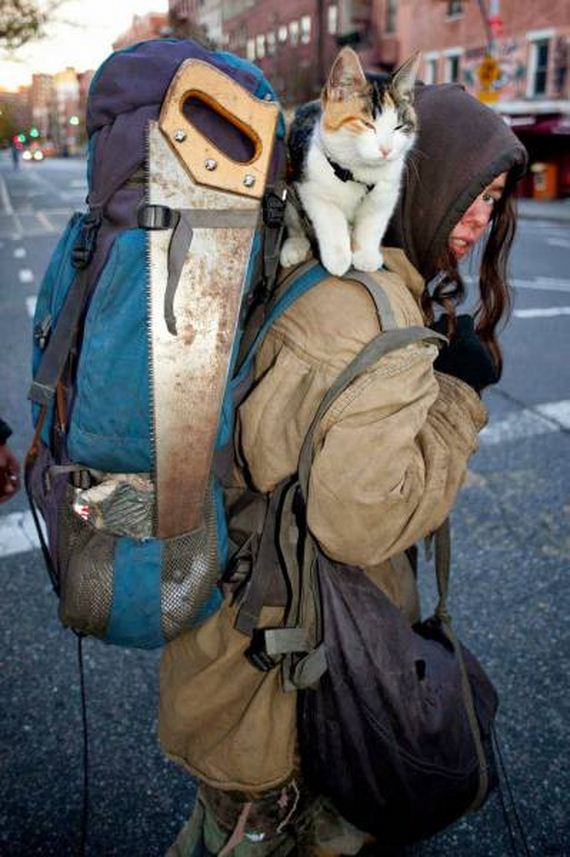 funny-pictures-1213