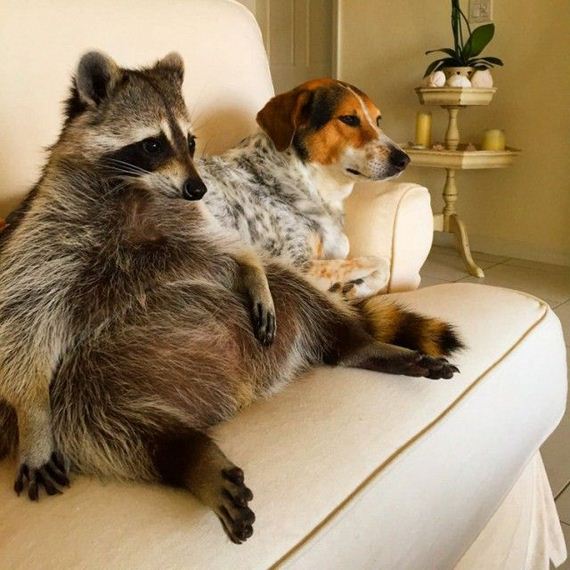 funny-pictures-1213
