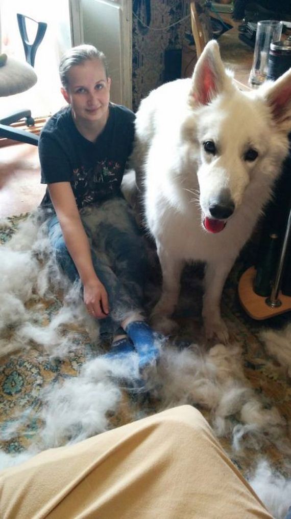 funny-pictures-1214
