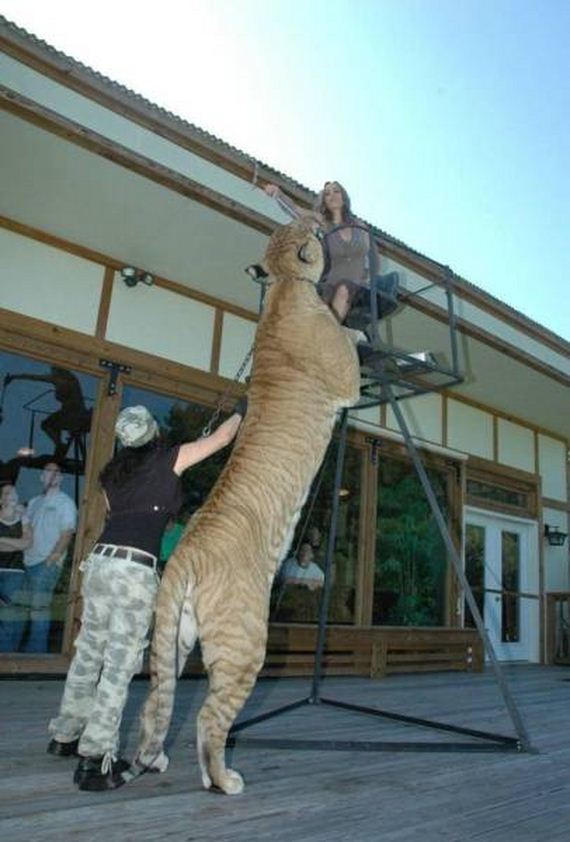 funny-pictures-1214