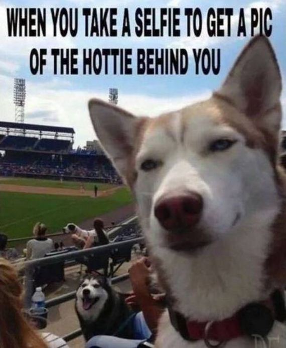 funny-pictures-1214