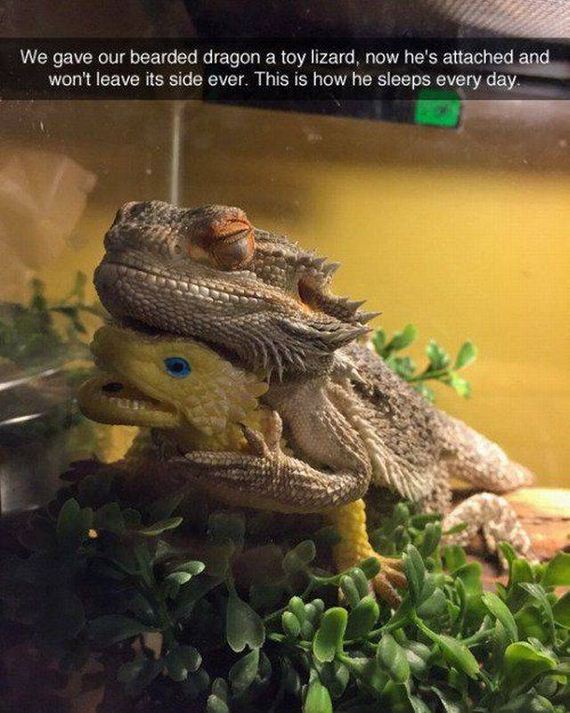 funny-pictures-1214