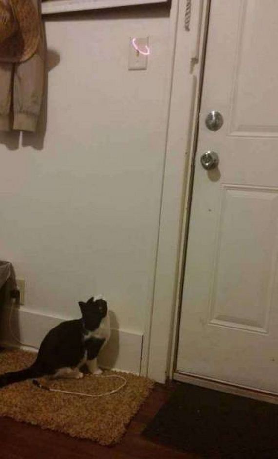 funny-pictures-1215