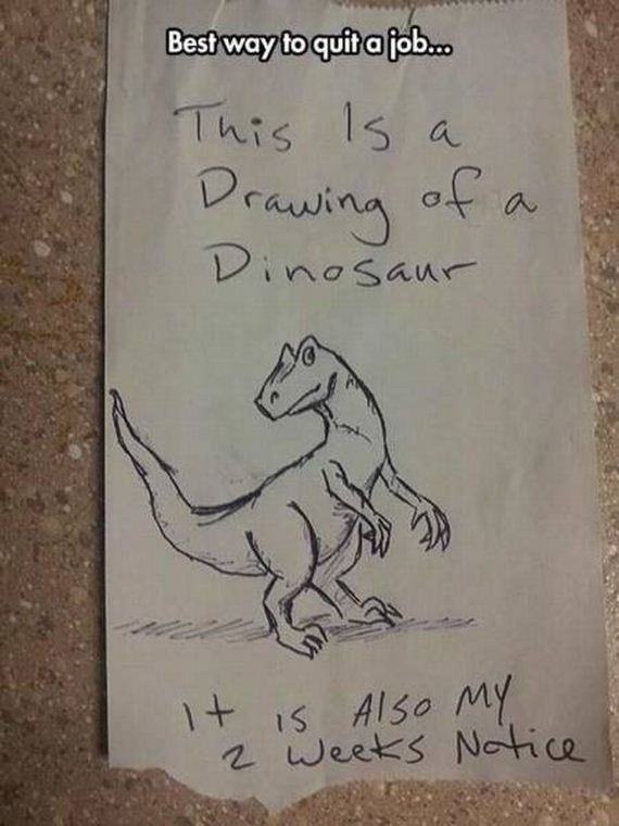 funny-pictures-1215
