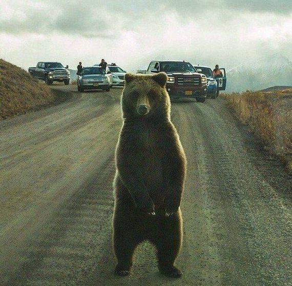 funny-pictures-1215