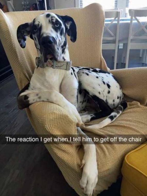 funny-pictures-1215