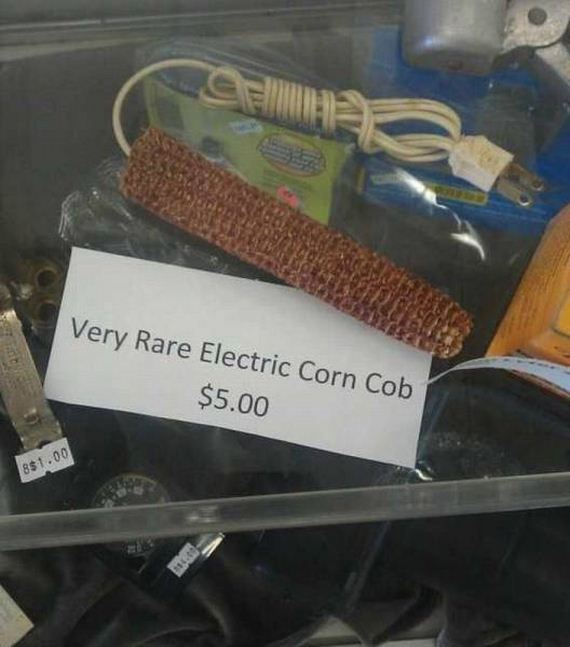 funny-pictures-1215