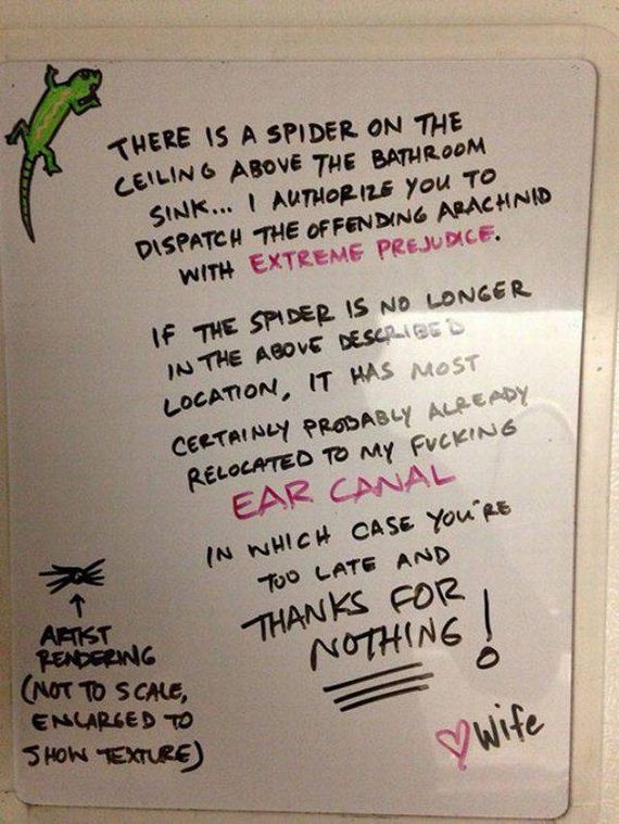 funny-pictures-1215