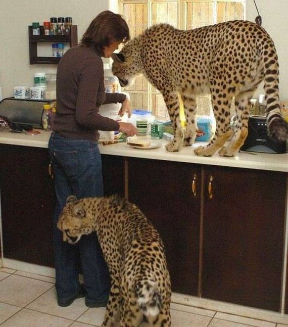funny-pictures-1217