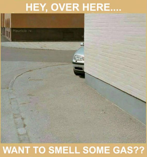 funny-pictures-1217