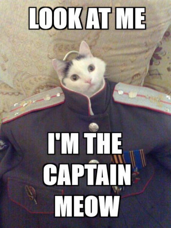 funny-pictures-1217