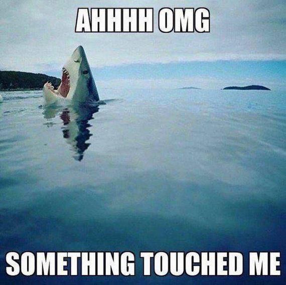 funny-pictures-1218