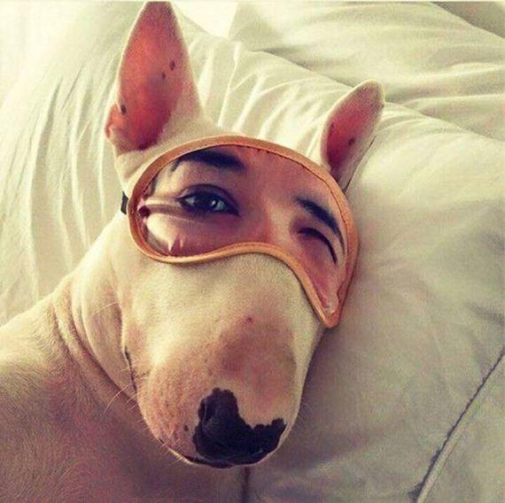 funny-pictures-1218