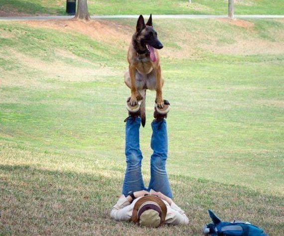funny-pictures-1218