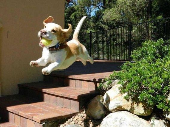 funny-pictures-1219