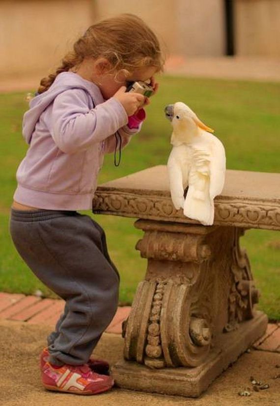 funny-pictures-1219