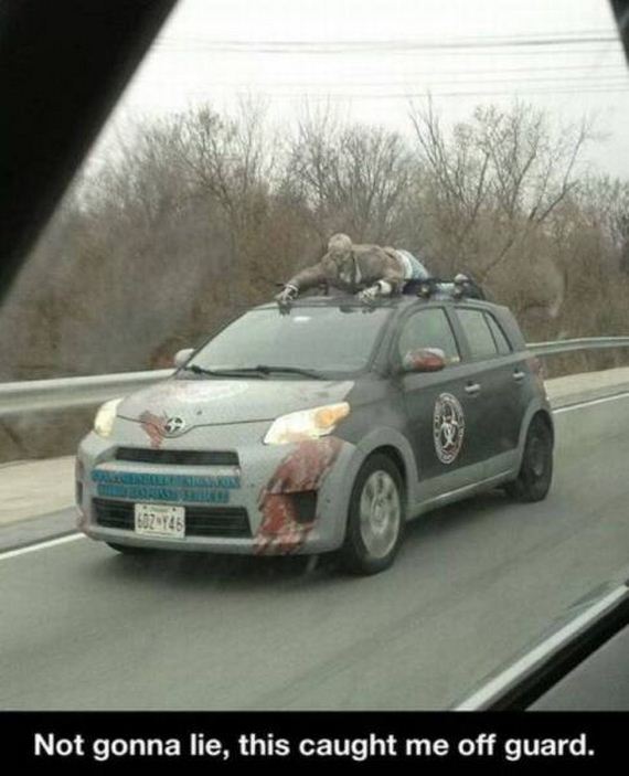 funny-pictures-1219