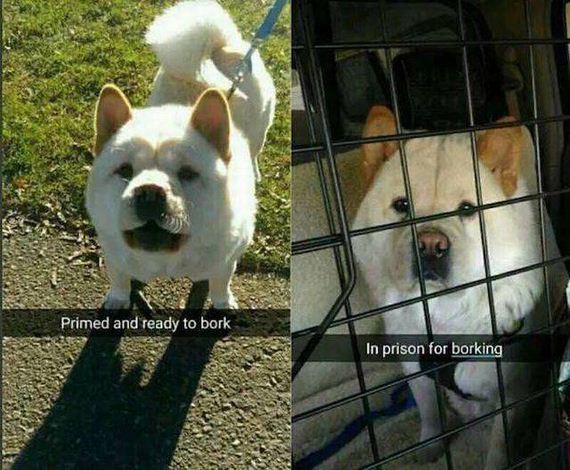 funny-pictures-1219