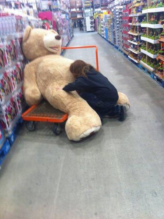 funny-pictures-1219