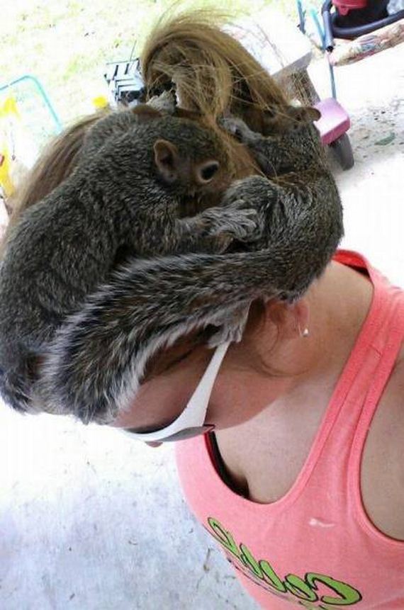 funny-pictures-1219