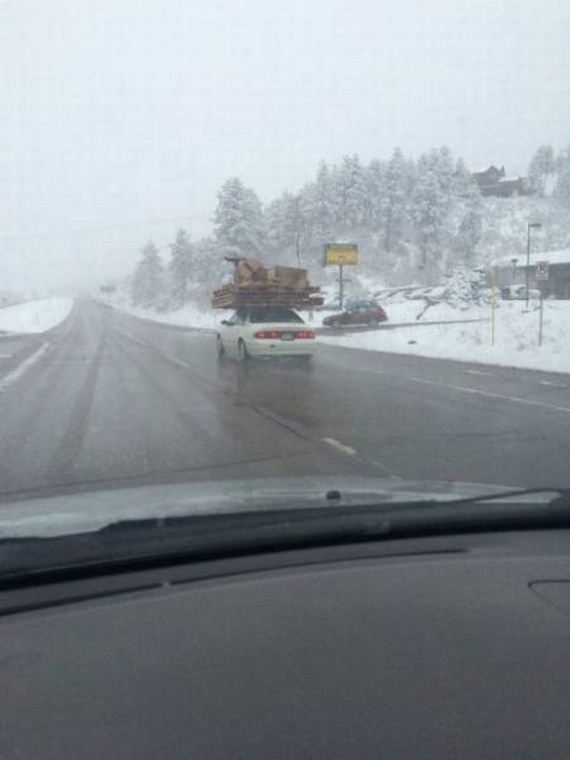 funny-pictures-1220
