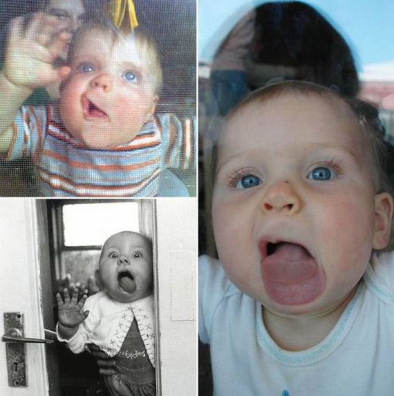 funny-pictures-1220