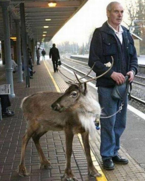 funny-pictures-1220