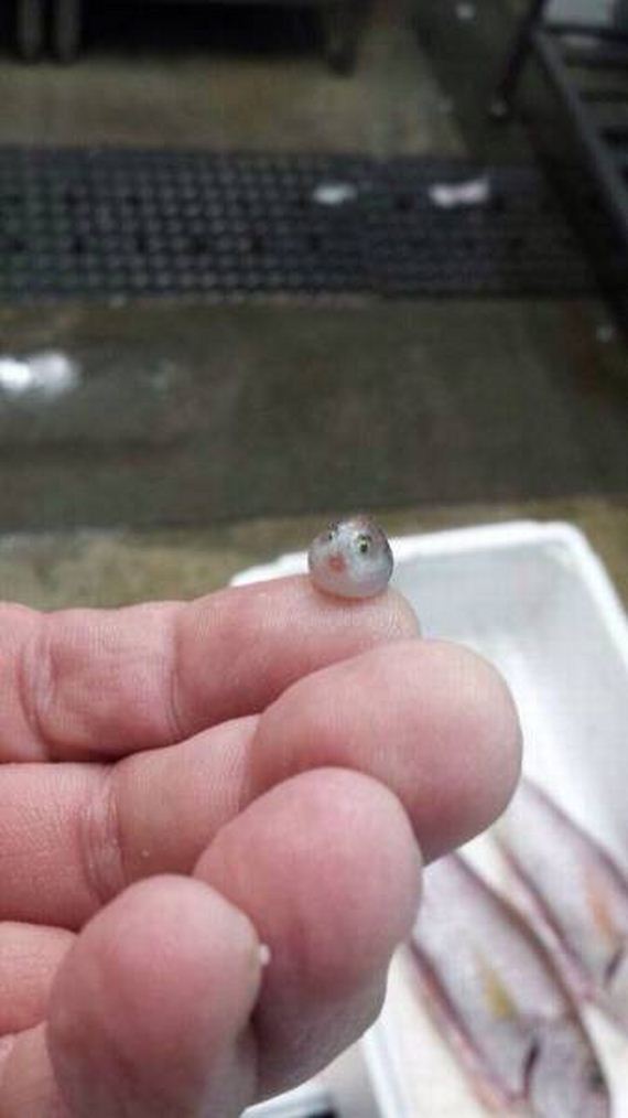 funny-pictures-1220