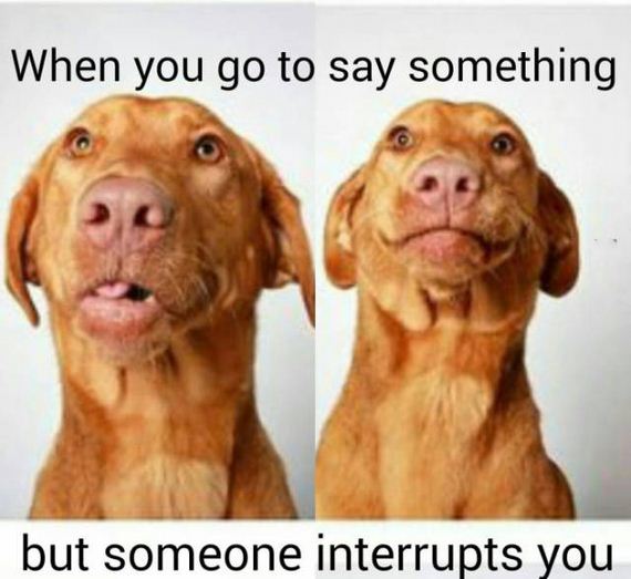 funny-pictures-1220