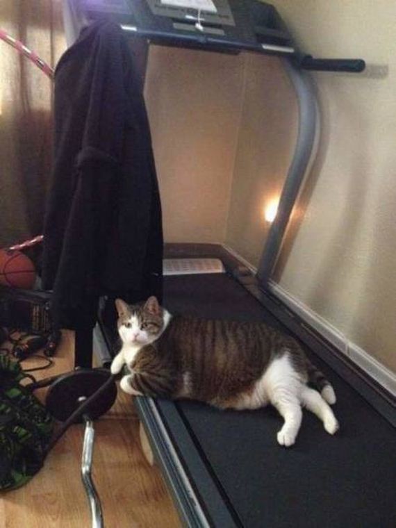 funny-pictures-1222