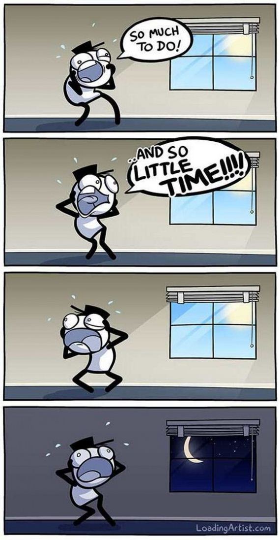 funny-pictures-1222