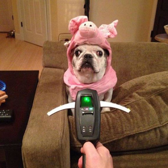 funny-pictures-1222