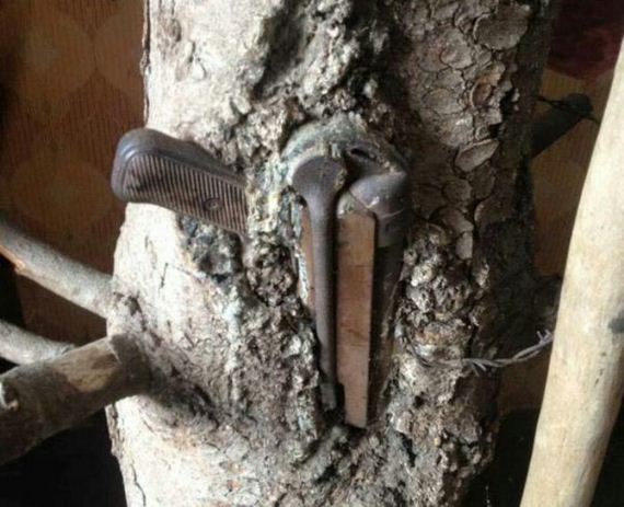 funny-pictures-1223