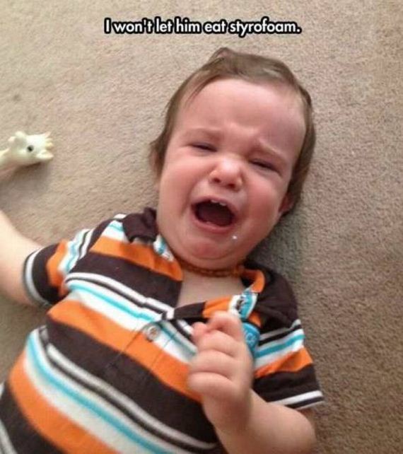 funny-pictures-1223