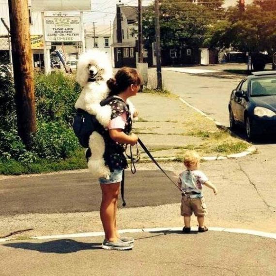 funny-pictures-1224